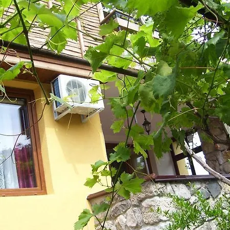 Denitza