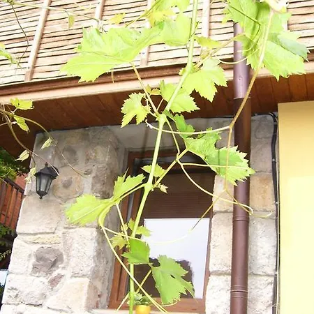 Guest house Denitza *