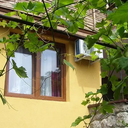 Denitza Sozopol