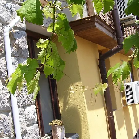 Guest house Denitza *