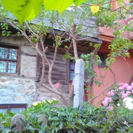 Denitza